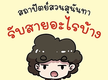 สถาปัตย์สวนสุนันทา รับสายอะไรบ้าง